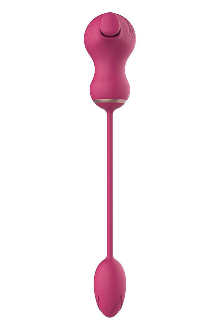 Гибкий двойной стимулятор и вибрационное яйцо Dream Toys Essentials, розовый Sex Aura Киев - изображение 3