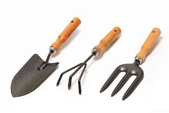 Набір садового інструменту MASTERTOOL Garden WOOD 3 шт 14-6099 Ровно