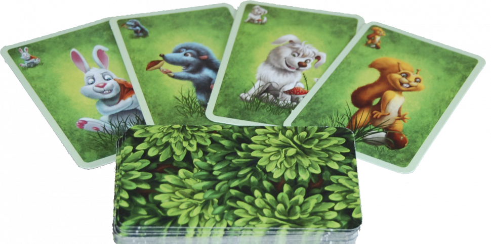 Детская настольная игра ГрибОК 800170 развивающая Винница - изображение 3