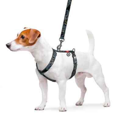 Шлея для собак WAUDOG Nylon H-подібна з QR-паспортом "Тінь Бетмена", пластиковий фастекс S (343-1078) Вінниця