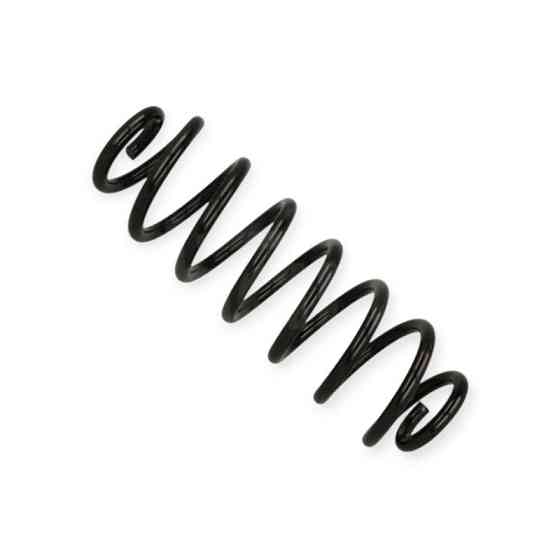 Пружина Фольцваген Passat B6, B7 2.0TDI (Bluemotion) задня Мукачево