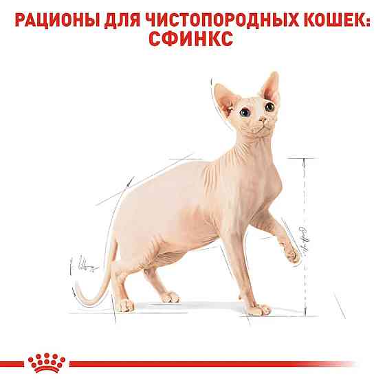 Royal Canin Sphynx Adult (Роял Канін Сфінкс Едалт) сухий корм для котів породи сфінкс від 12 місяців Запоріжжя