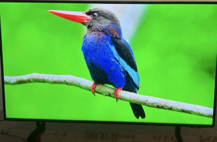 Телевизор Samsung 43