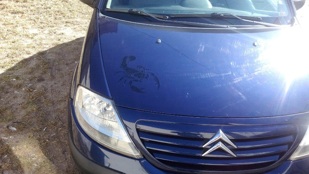 Стикер на авто Скорпіон Чорна 2 шт Київ - фото 6