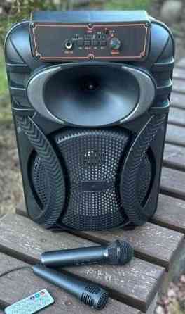 Портативная колонка с 2️⃣ микрофонами и светомузыкой на аккумуляоре.  ‼️ Киев