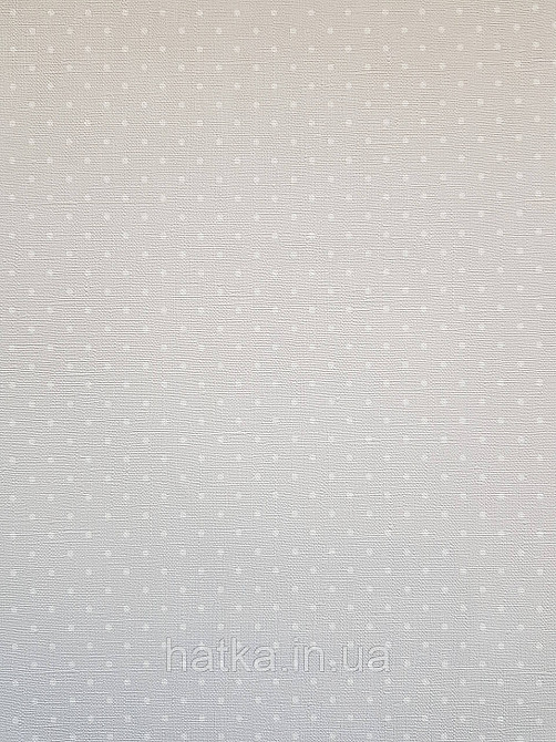 Шпалери вініл на флізеліні A.S.Creation Maison charme 0.53x10 у крапку в горошок білі на сірому Київ - фото 1