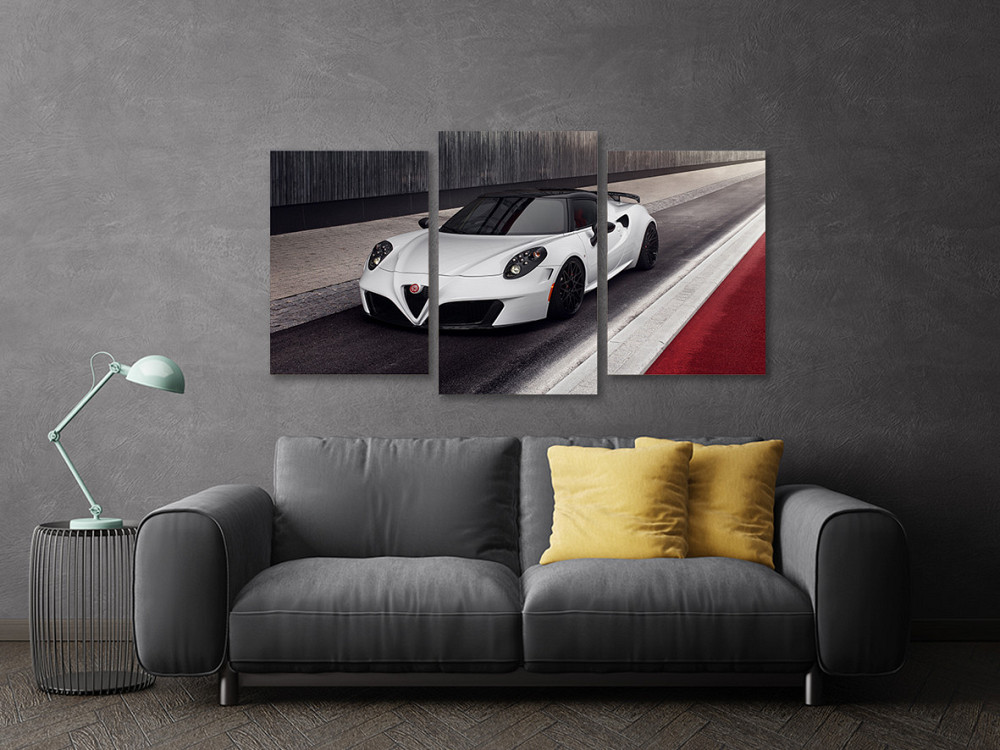 Модульная картина в гостиную / спальню  Біла Машина   Art-649_3 70x130 см Киев - изображение 3