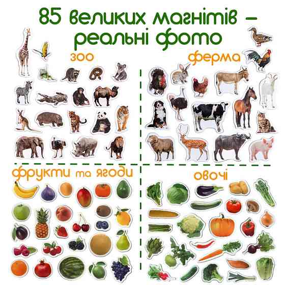 Набор магнитов Magdum 