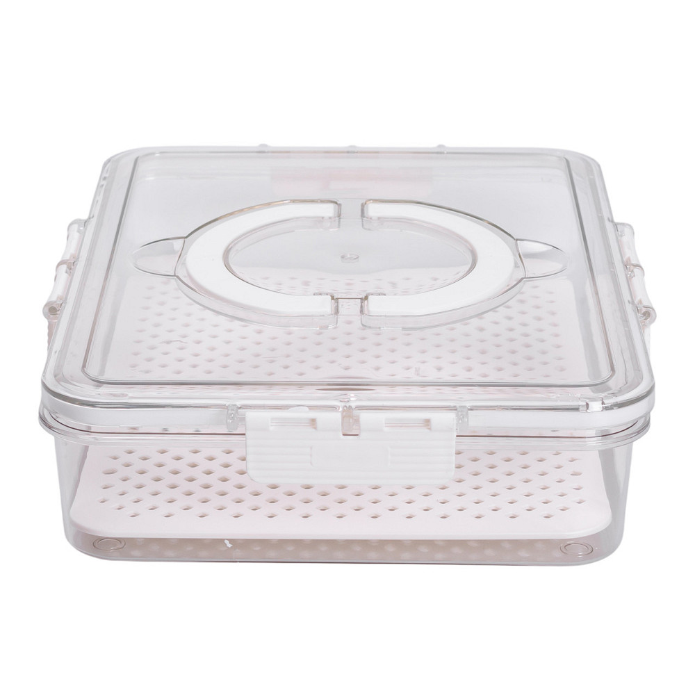Yiwu Контейнер для їжі з ручкою 31х24х7 см пластиковий харчовий контейнер 2.5 л HP-27-10 Київ - фото 6