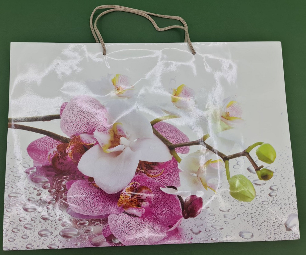 Гиганты горизонтальные 46*33*15 (артGG-009) (12 шт) Харків - фото 3