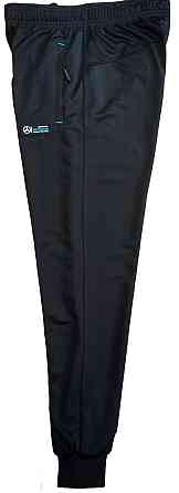 Мужские батальные штаны Mercedes AMG Petronas Киев