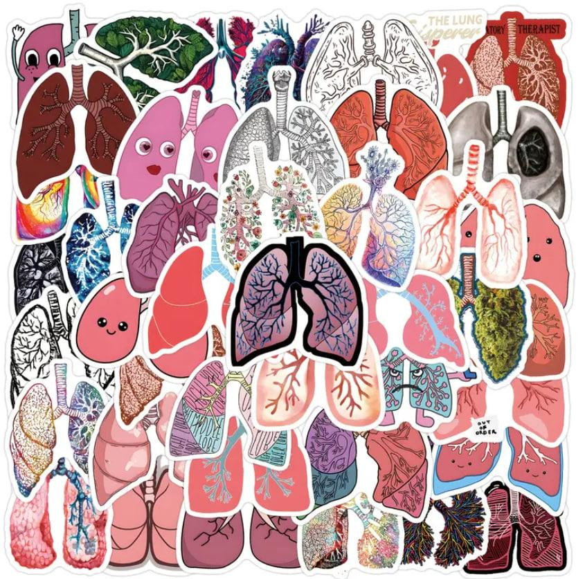 Медичні анатомічні наліпки "Легені людини". Водонепроникні вінілові естетичні наліпки набір 50 шт.,  Київ - фото 1