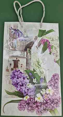 Паперовий пакет подарунковий Середній 17/26/8 (артSV-190) (12 шт.) Харків