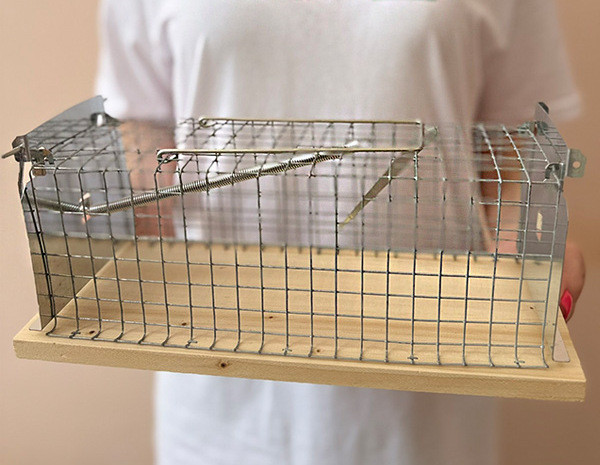 Пастка щурів та ласок Hunter 9040 Дніпро - фото 3