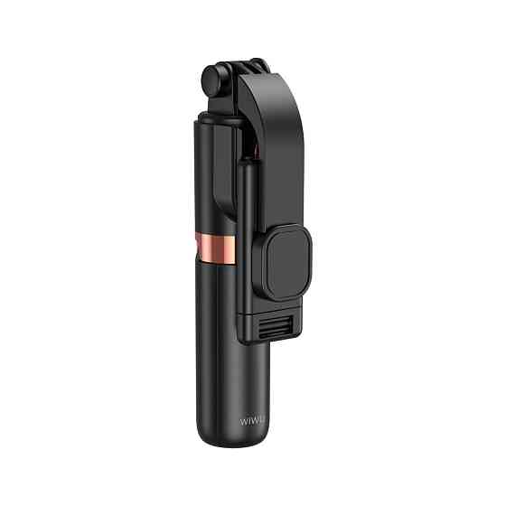 Селфи-трипод WIWU Mini Selfie Stick Wi-SE011 (with filled lights) Black Одесса