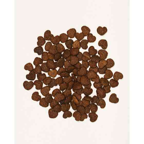 Хрустящие лакомства Savory для здорового роста котят, индейка с клюквой, 50 г Винница