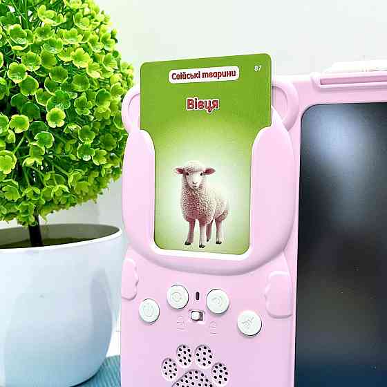 Картридер Всезнайко WToys кольорова LCD - дошка стілус 122 картки 18 тем казки пісні цікаві факти Рожевий (94930) Чернігів