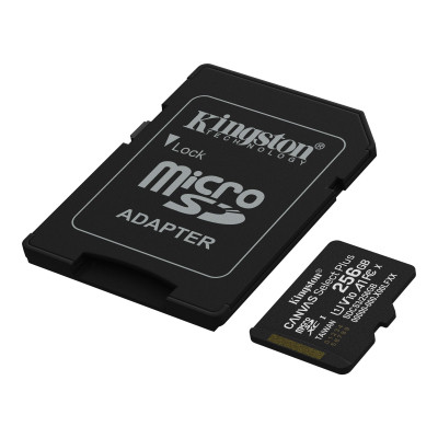 Карта пам&apos;яті Kingston 256GB microSDXC class 10 UHS-I V10 A1 Canvas Select Plus (SDCS3/256GB) Вінниця - фото 2