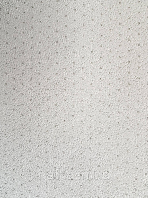 Шпалери вінілові на флізелін Petite Fleur 4 Rasch Texti 28970 однотонні білі з сірими точками Київ - фото 2