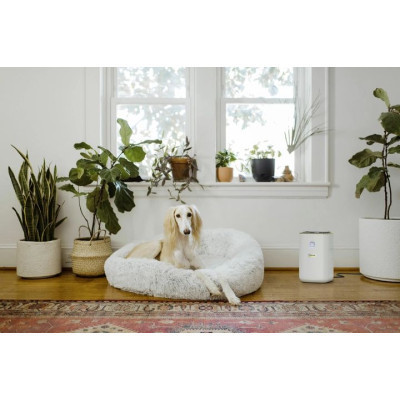 Очисник повітря Karcher AF 20 (1.024-820.0) Вінниця - фото 7