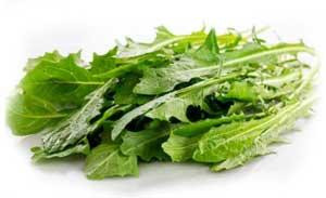 Кульбаба лікарська (лист) (Одуванчик лекарственный) 100г master sem Киев - изображение 1