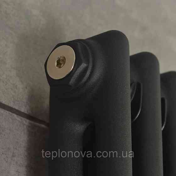 Вертикальний радіатор Calidum 2-8 380х1800, anticor, чорний муар Чернівці