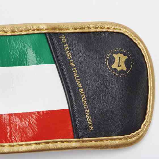 Боксерські рукавички Leone Italy Black 12 ун. Кам'янське