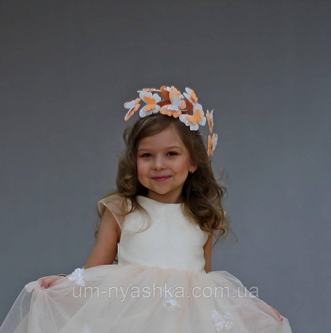 Обруч с бабочками Кривой Рог - изображение 1