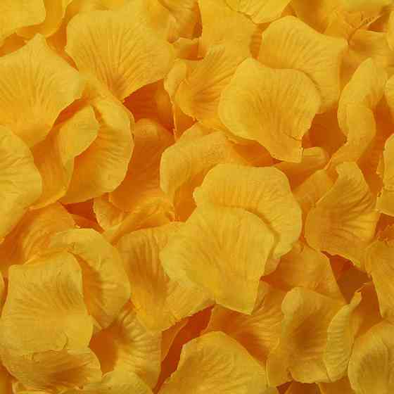 Пелюстки троянд тканинні святкові 200 штук 45 на 45 мм помаранчевий Київ