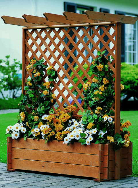 Кашпо зі шпалерою "Дагана" мускат Миколаїв - фото 1