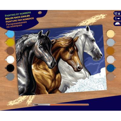 Набір для творчості Sequin Art PAINTING BY NUMBERS SENIOR Wild Horses (SA1040) Вінниця - фото 1