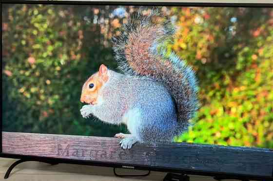 Телевізор Medion 55 4K Київ