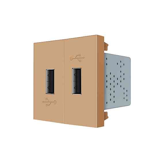 Подвійна розетка USB LIVOLO золота, з блоком живлення 2×USB-A 5V/2.1A, 2×10Вт, модуль (VL-FCUA-2AP) Коломыя