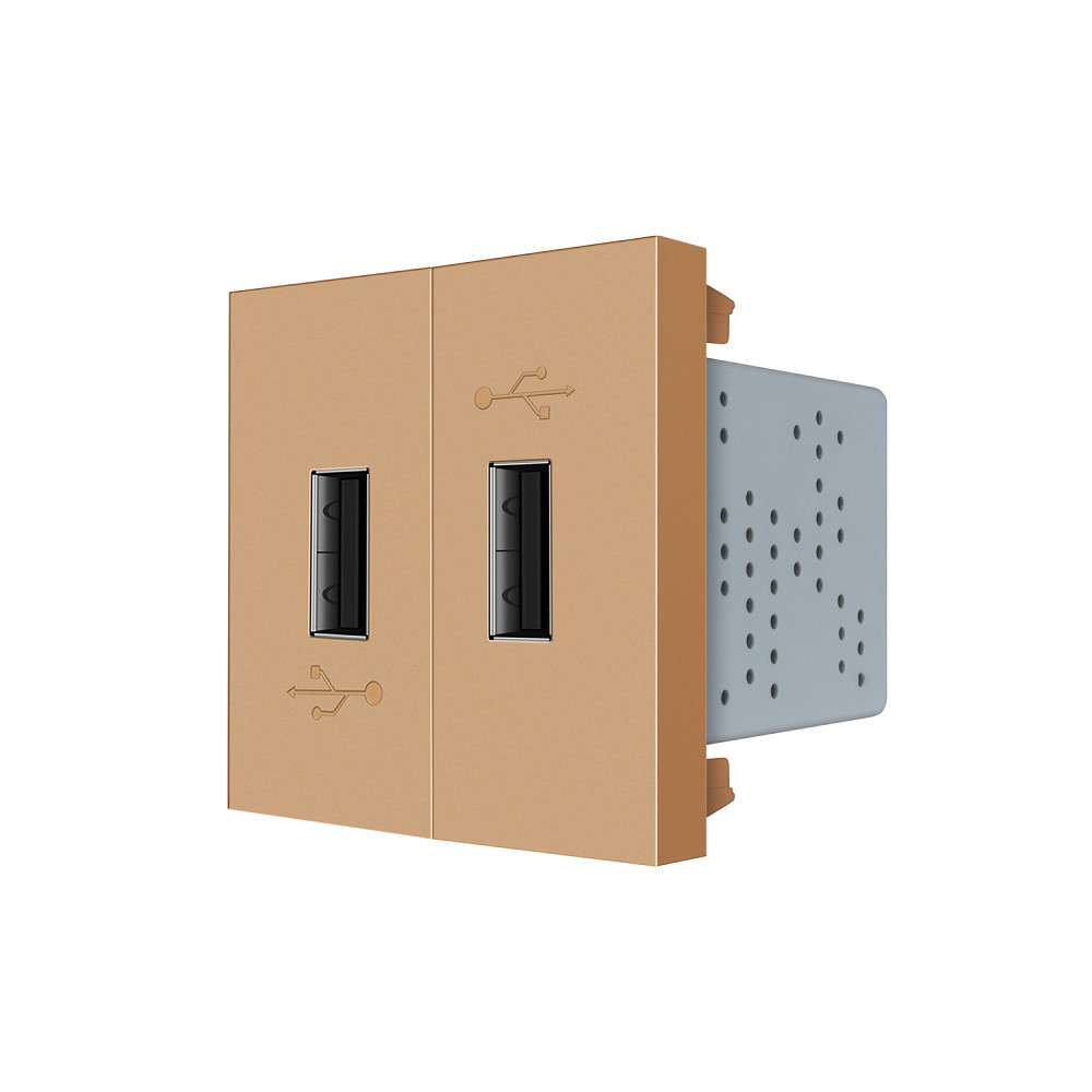 Подвійна розетка USB LIVOLO золота, з блоком живлення 2×USB-A 5V/2.1A, 2×10Вт, модуль (VL-FCUA-2AP) Коломыя - изображение 2