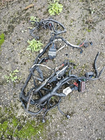 68104102AB Проводка двигателя Journey12-. 3.6l Коломыя - изображение 2