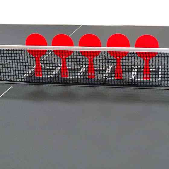Тренувальний набір для настільного тенісу Gewo Flip-Paddle Set (109180000) Київ