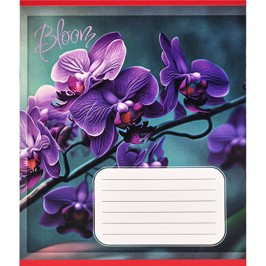 Тетрадь ученическая 