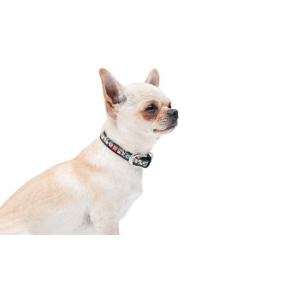 Ошейник для животных WAUDOG Design с QR паспортом "Пончики" Ш 12 мм Д 20-28 см черный (36911) Винница - изображение 7