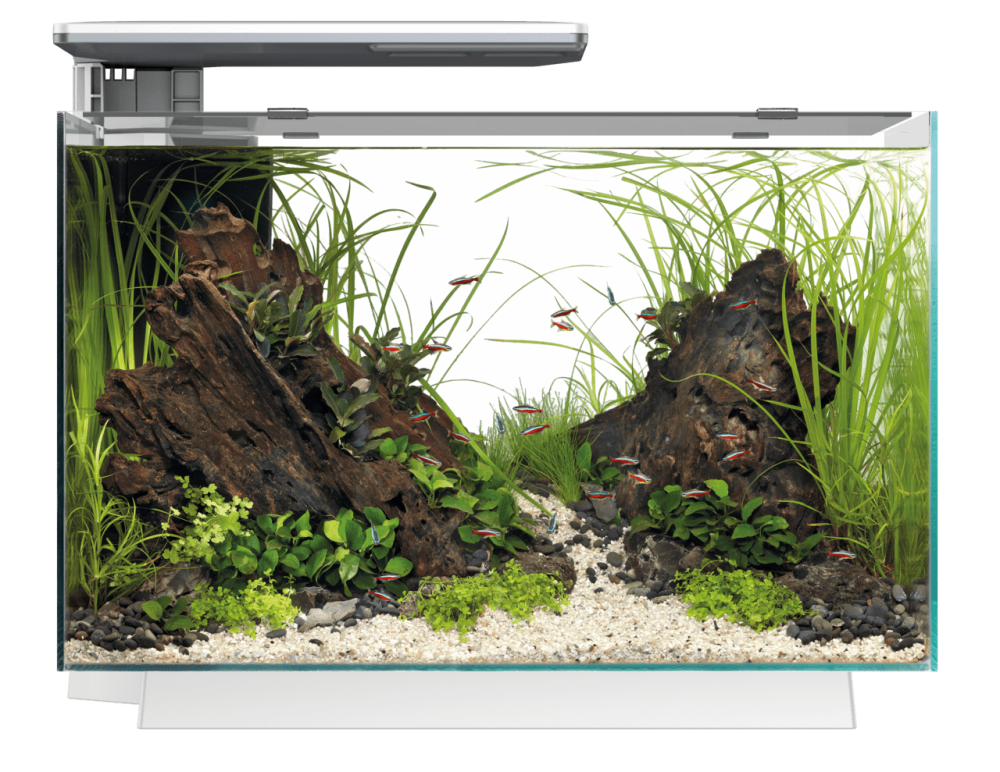 Аквариумный набор SuperFish Quadro 70 Pro White (A4052220) Киев - изображение 2