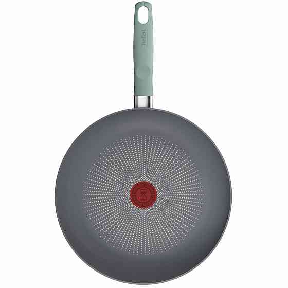 Сковорода Tefal Halo Eucalyptus 28 см (G0160602) ( 23340 ) Харьков