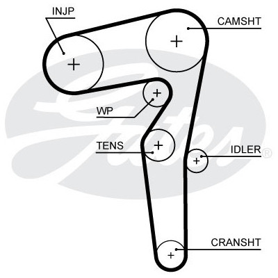 Ремінь ГРМ Gates 5646XS Вінниця - фото 1