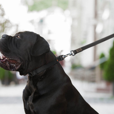 Повідець для собак Evolutor 300 см 25 мм чорний (42131) Вінниця - фото 7