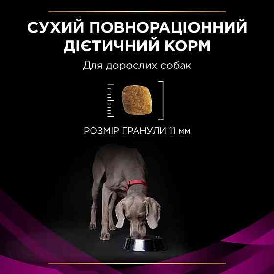 Сухий дієтичний корм PRO PLAN VETERINARY DIETS UR Urinary для дорослих собак для розчинення та зниження утворення струвітних каменів, 1.5 кг Київ