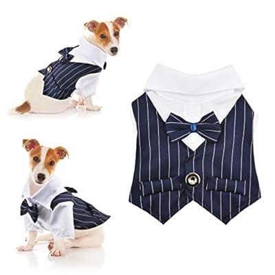 Фрак для собак/котів M Луцк - изображение 3