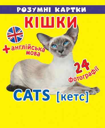 Розумні картки. Кішки. 12 карток, шт Киев