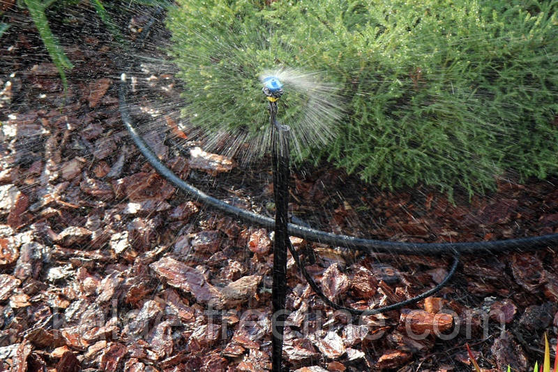 Крапельниця для поливу Presto-PS мікроджет Колібрі (MS-8060) Харьков - изображение 3