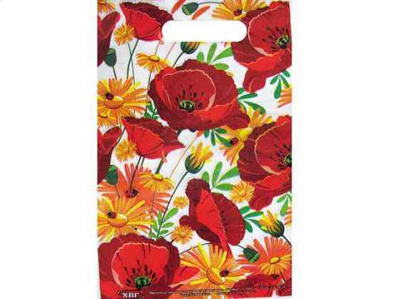 Пакет с прорезной ручкой (20*30) 