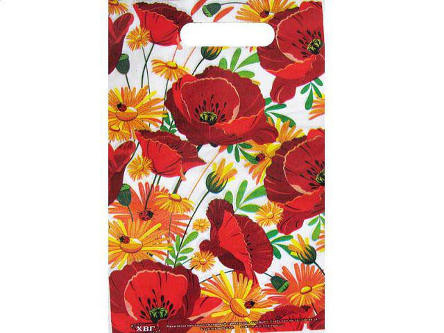 Пакет с прорезной ручкой (20*30) 