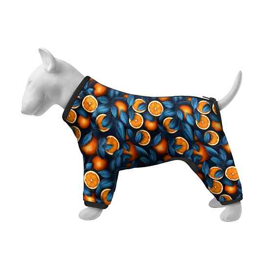 Вітровка для собак WAUDOG Clothes, малюнок "Апельсини", S40, В 56-59 см, С 37-40 см Коломия