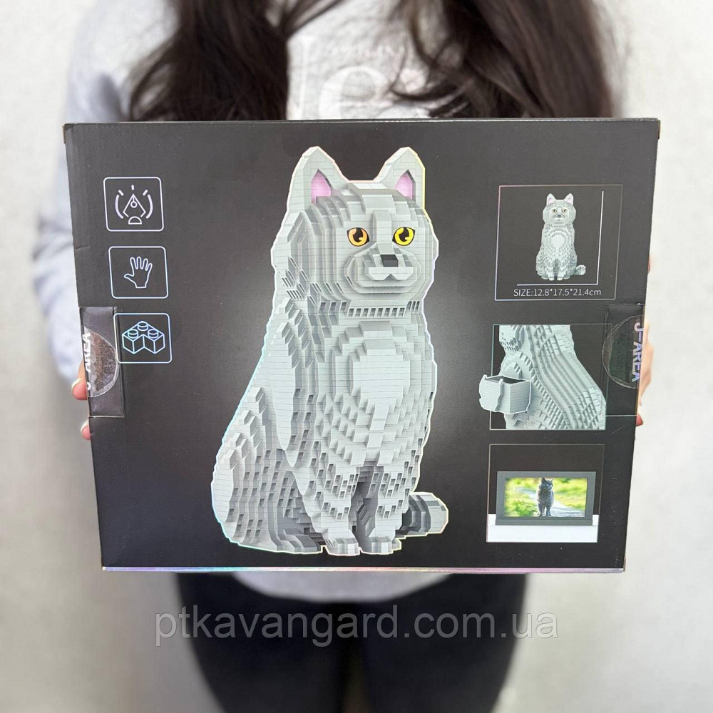 Конструктор британський кіт сірий із рамкою 2903 деталей DMG 008 J-AREA Pet Cat Хмельницький - фото 1